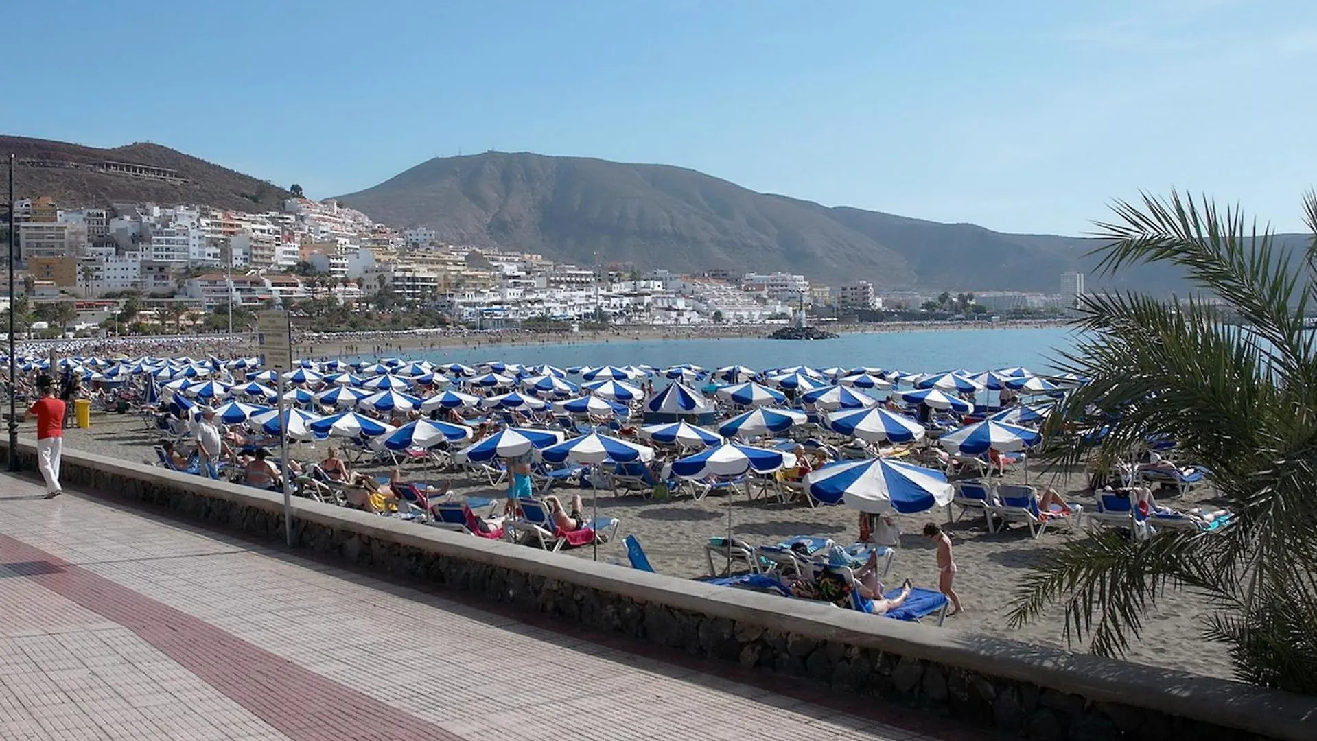 Central Los Cristianos Apartment إسبانيا